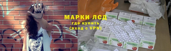 ПСИЛОЦИБИНОВЫЕ ГРИБЫ Балахна