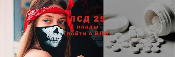 ПСИЛОЦИБИНОВЫЕ ГРИБЫ Балахна