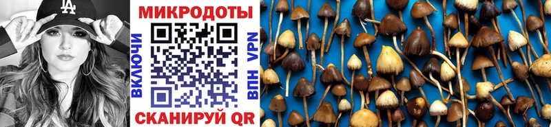 цена наркотик  Шарыпово  Псилоцибиновые грибы мицелий 